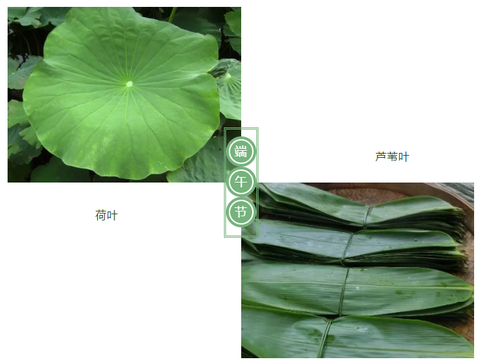 NG28娱乐医纺