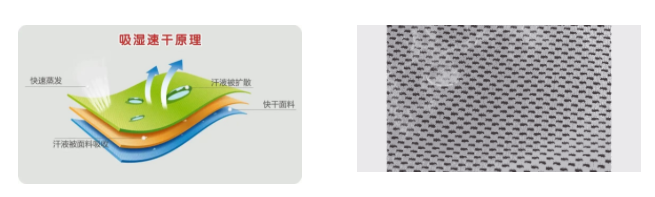 NG28娱乐医用纺织